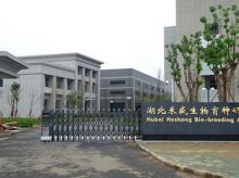 荣高与湖北禾盛合作